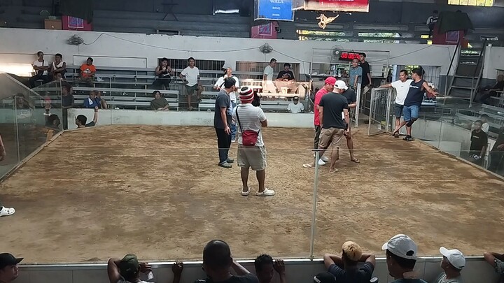 Red Claret 2nd fight 2hits Champ Manggahan Cavite