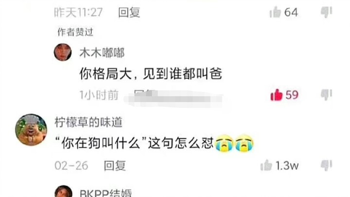 To what extent can modern netizens insult people in a polite way? 😂