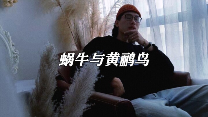 Bài hát tuổi thơ: Con ốc sên và chú chim hoàng oanh