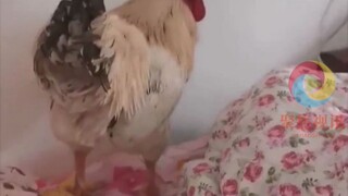 Ini adalah alarm paling bertanggung jawab yang pernah saya lihat! Bahkan datang langsung...