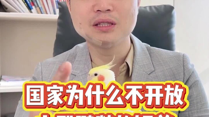 Tại sao cấm nuôi vẹt lớn?