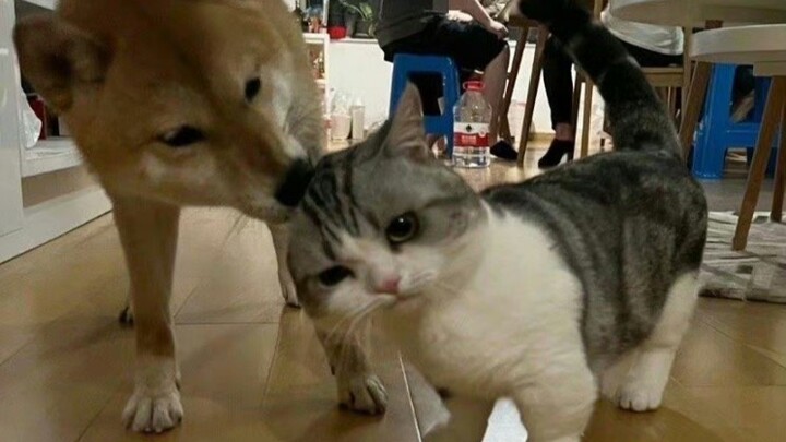 男孩子一定要保护好自己。