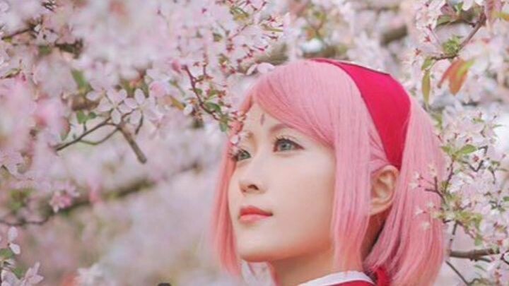 The real cecan konoha ini mahh🌸 | Beautiful girl in konoha