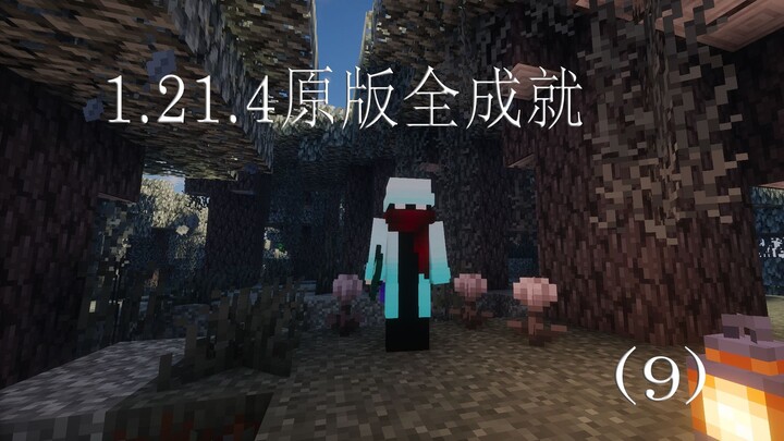拿下MC最难成就！当速通玩家来原版生存，岂不是降维打击（完结）