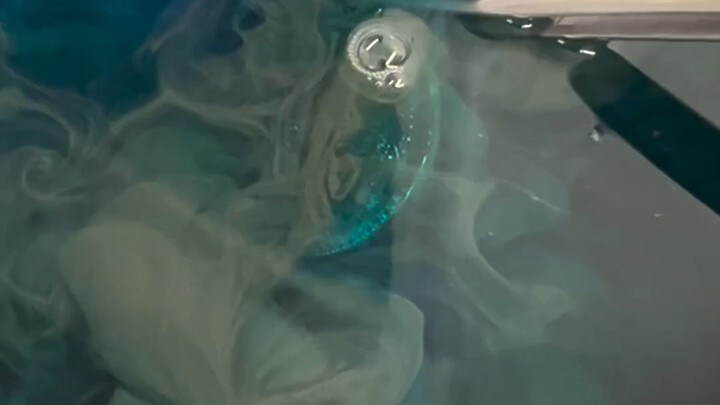 【Panghu Stress-Relief Video】A new video has been uploaded—come check it out!