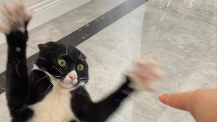 โรคประสาทชัดๆ