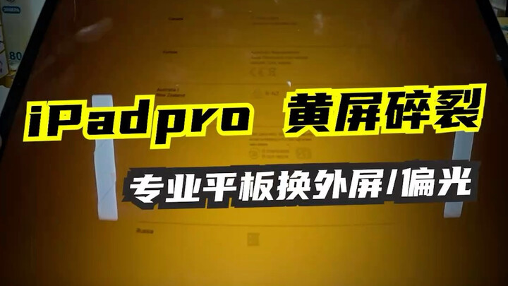Anan’s Repair Diary 005 | iPad Pro Yellow Screen – Backlight Replacement