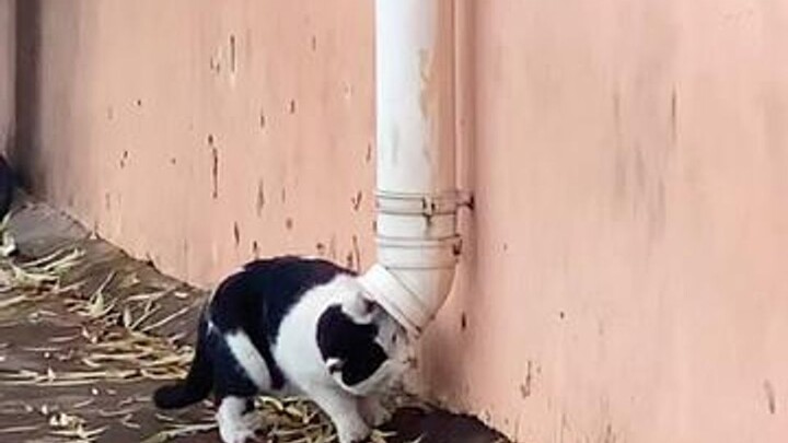 Tak bisa mengantarmu pulang, maka biarlah, dengan kedudukan sebagai tamu, kuharapkan setiap tahunmu 
