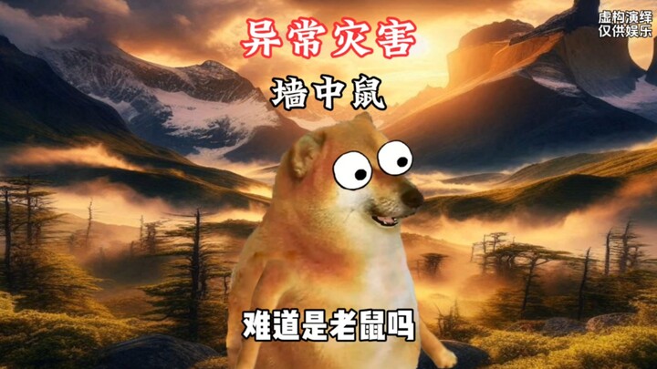 “The Rat in the Wall” – Abnormal Disaster Edition