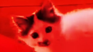 ????