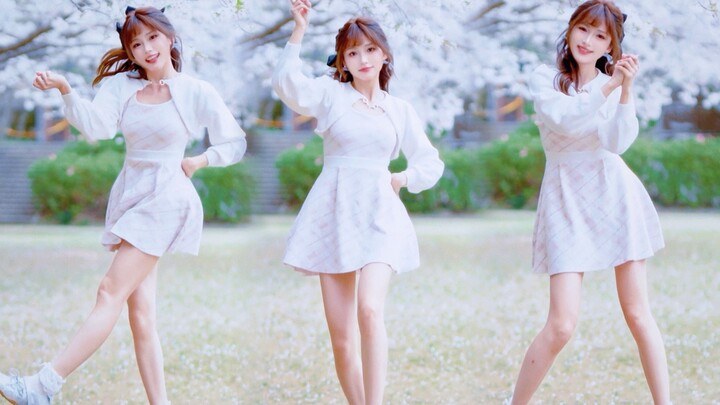 Menari di bawah pohon sakura raksasa～ Klasik abadi: "Kimi no Kanojo"