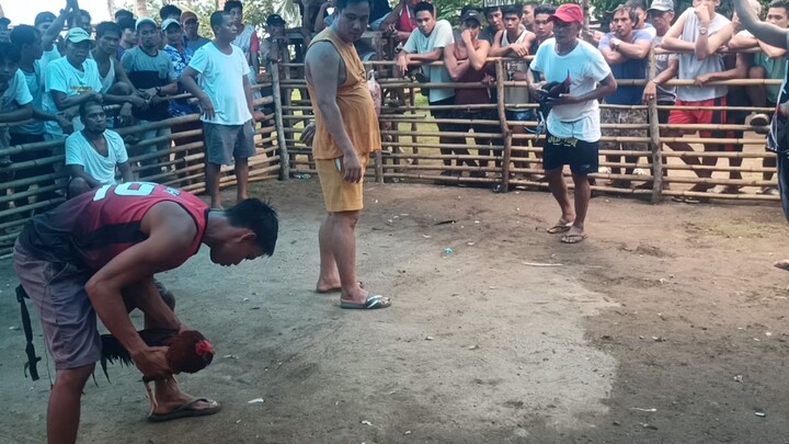 Fiesta Liguan Draw