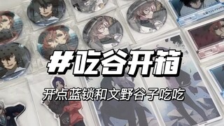 是谁又在吃谷，深夜陪伴式谷子开箱唠嗑