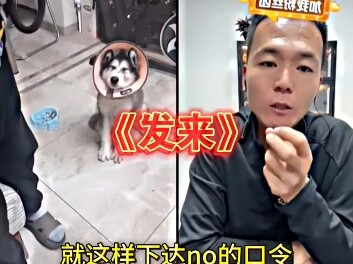 ฉากเด็ดของพานหงไอที่ชอบเล่นกับสุนัข: "ส่งมาให้ฉันหน่อย"