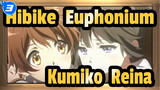 Hibike! Euphonium
Kumiko & Reina_3