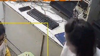 “ผู้ใหญ่อย่างฉันก็ร้องไห้แล้ว”