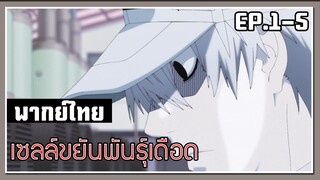 นี่มันหรือว่า? l Cells at Work! EP.1-5 l พากย์ไทย