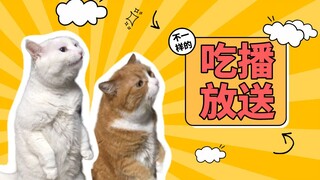 مي الصغيرة تتحدى نفسها بتجربة كوس بلاستيك التيرانوصور! هل ستقدم العمة جيانغ أداءً مميزًا لأغنية "تعل