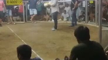 2nd Fight WIN/5 Cock's Derby