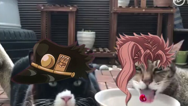 【JOJO】Kucing: Saya adalah mesin reoreo tanpa emosi