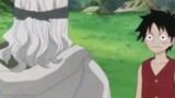 Luffy's master: Rayleigh