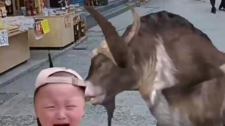 Xem video về lớp patina, _________