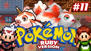 Pokémon Ruby #11 - Rota, Meteorito e Time Aqua.