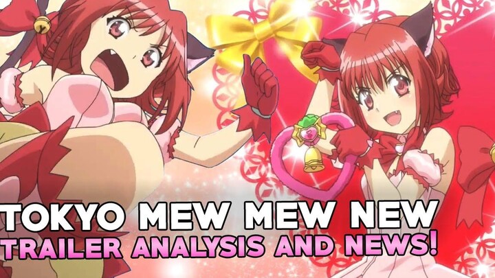 TOKYO MEW MEW ข่าวใหม่! วันที่วางจำหน่ายและการวิเคราะห์ตัวอย่าง