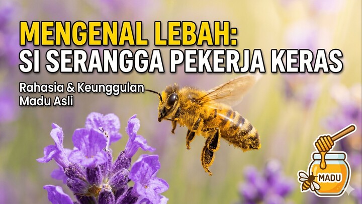 Mengenal Lebah si Serangga Pekerja Keras!