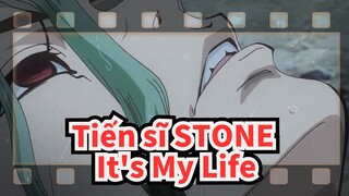 Tiến sĩ STONE|[AMV]It's My Life