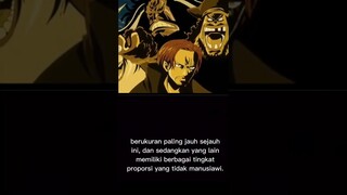 akagami no Shanks manga anime one piece #shorts #akagaminoshanks #manga #anime #onepiece