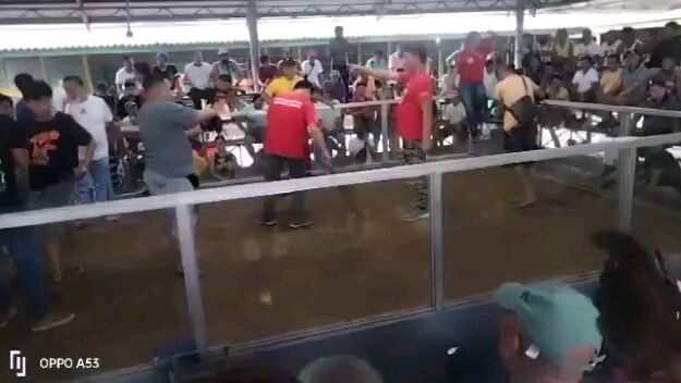 penguin line walang tama na naman 🏆