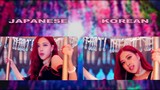 BLACKPINK - ''DDU-DU DDU-DU'' JAPANESE & KOREAN MV COMPARISON
