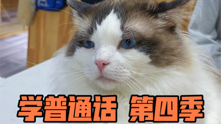 Kuasai etika berkomunikasi, jadilah pribadi yang santun.