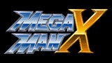 Password - Mega Man X