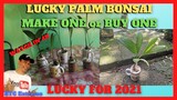 LUCKY PALM BONSAI | How To Make a Lucky Bonsai Gift for 2021