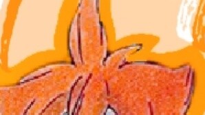 [Haikyuu!/Tháng Ngày] Tiếng chết đuối vang lên, trăng sáng hiện ra