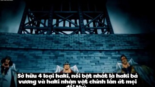 Top 9 Hải Tặc Đến Từ Biển Đông Xanh p10