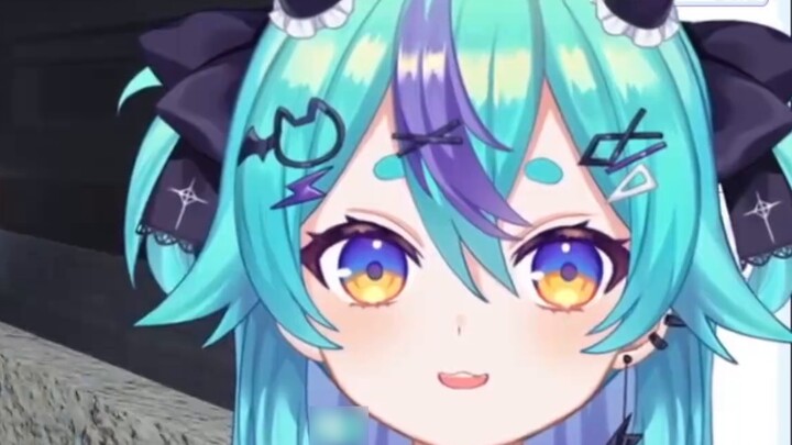 Chú mèo đẹp trai Lei đã trừng phạt tên hàng xóm ồn ào một cách công bằng, thậm chí còn chạm vào bánh