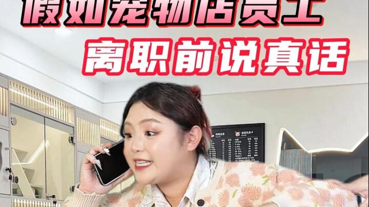 Tự làm đồ chơi cho mèo chỉ với 0 đồng! Video này giúp bạn tiết kiệm cả chục triệu đồng!