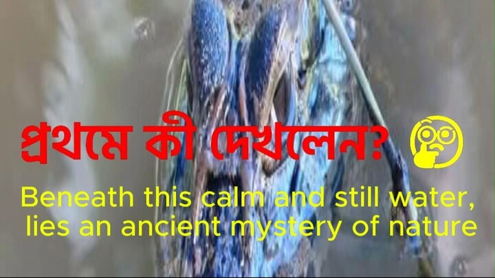 The Silent Killer Underneath! 🐊 Ancient Mystery of Nature (Cinematic Short)