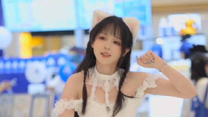 我家猫不仅会后空翻 还会跳舞！