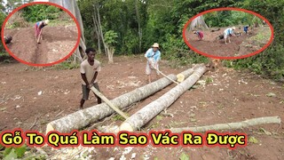 Quyết chuyển nghề tiều phu bốc vác ở châu phi||2Q Vlogs cuộc sống châu phi