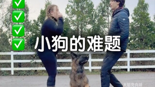 Puppy, do you love your sister or your brother more?