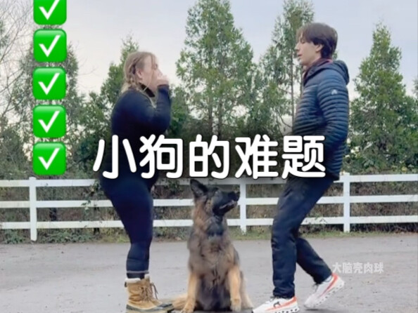 Puppy, do you love your sister or your brother more?