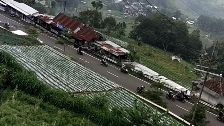 Pemandangan Hijau Perjalanan Motor Hari Ini.