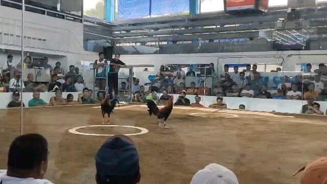 2hits ulutan @New Malvar Cockpit. December 21, 2025. 2nd fight (champion)