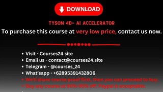 Tyson 4D- AI Accelerator