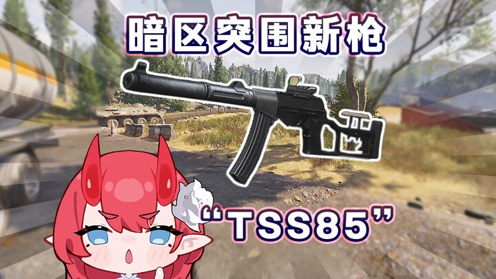 Súng mới TSS85 trong Khu Bóng Tối: Chỉ số ngon như mở hòm, muối đâu chẳng thấy!