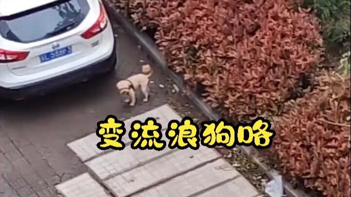 Even if you stop, it still won't come over.